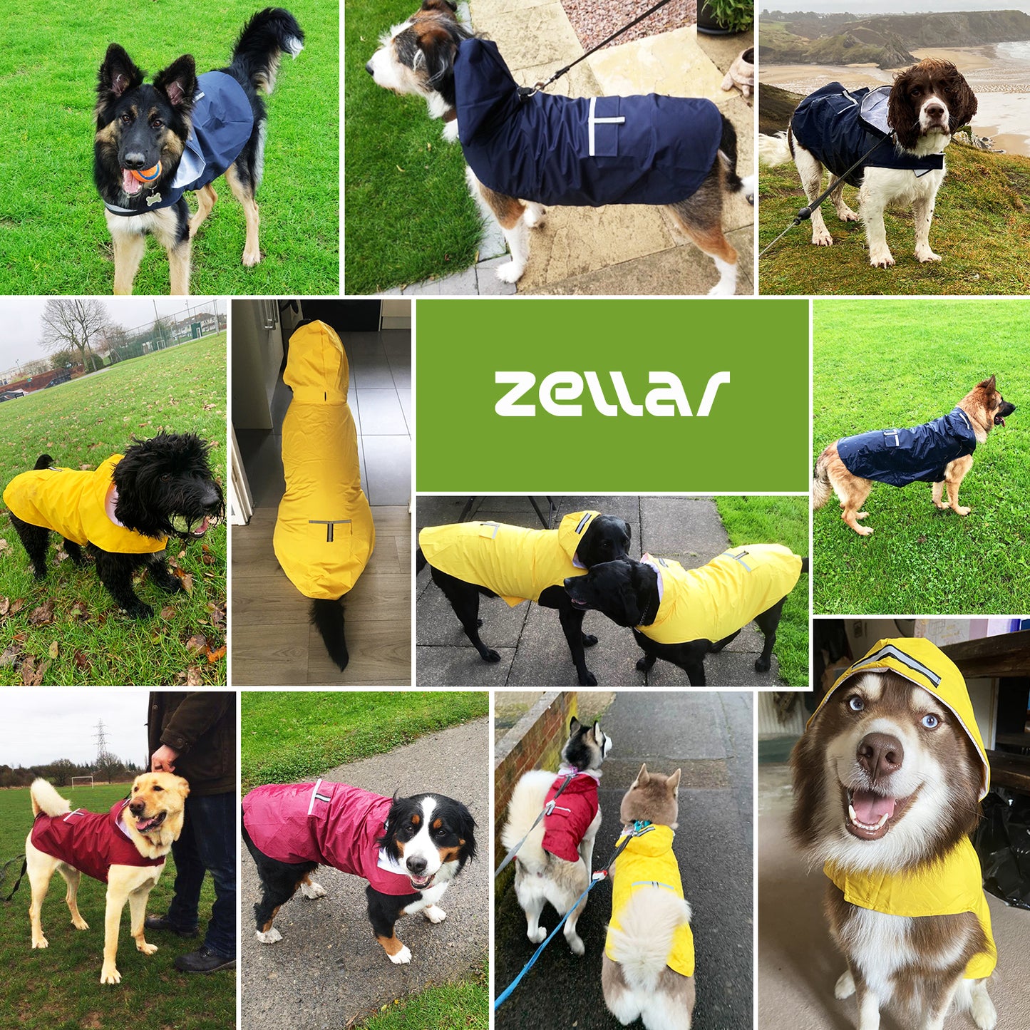 Zellar Dog Raincoat with Hood, Collar Hole, 100% Waterproof Ultra-Light Breathable Rainwear Rain Jacket with Safe Reflective Strips for Medium to Large Dog, Blue, 4XL